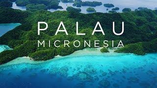 Palau Micronesia - I found heaven on earth