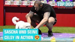 Wiedersehen mit dem süßen Duo   Top Dog Germany 2024