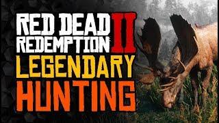Guide For HUNTING And LEGENDARY Animals - Red Dead Redemption 2