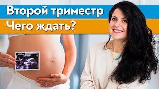 Второй триместр беременности  Когда ребенок начинает шевелиться в животе?