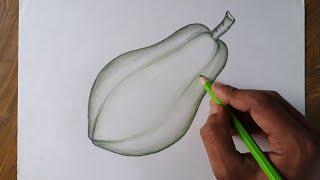 How to draw a papaya step by step so easy