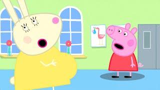 Peppa Pig Sees Mummy Rabbits Bump  Kids TV and Stories
