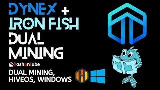 Dynex DNX and Ironfish IRON Dual Mining Tutorial