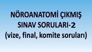 Nöroanatomi Örnek Sınav Soruları -2  Vize Final Komite 