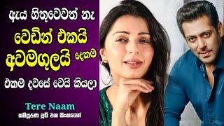 තේරේ නාම් - ඔබේ නමින්  Tere Naam Old Hit Hindi Movie Sinhala Review  Salman Khan Movie