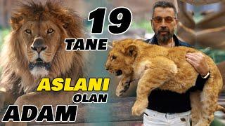 19 ASLAN ve 2 KAPLANIN YAŞADIĞI YIRTICI HAYVAN ÇİFTLİĞİ  Yaşar Kaplanın Aslanları