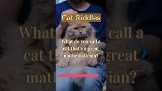 What do you call a cat thats a great mathematician?  Relaxing Music for Cat #shorts