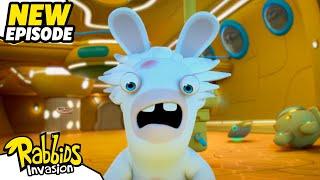 Mad Rabbid and the secret of the flying submarine S04E01  RABBIDS INVASION  Cartoon for Kids