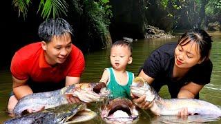How rural people grow rice and trap huge fish  cooking - Chúc Tòn Bình