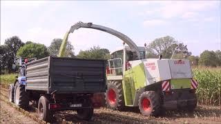 Claas Jaguar 860 Overdrive im ersten Mais 08.2019