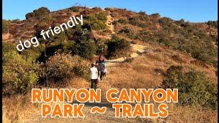 RUNYON CANYON PARK  THE BEST HIKING TRAILS IN LOS ANGELES CALIFORNIA #hike