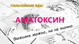 Яд АМАТОКСИН яд бледной поганки убивает в течении нескольких дней. Самые сильные яды.