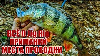 Всё о JIG RIG места проводки приманки  Как и когда я ловлю на джиг риг  Все плюсы остнастки