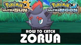 Where to Catch Zorua  Pokémon Ultra Sun and Moon