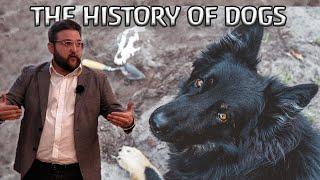 The History of Dogs evolution archaeology and mythology  Full lecture University of Wyoming