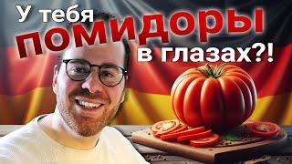 У тебя помидоры в глазах? Learn German  Русские субтитры