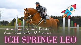 SPRINGTRAINING - ich springe Leo nach vielen Wochen Pause zum ersten Mal  patrickheckl