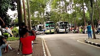 Telolet melodi Panjang ala BUS Po.Haryanto HR 05 A.K.A VENENO