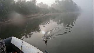 Солнце высоко а река во мгле Полуподкова из воды у убежавшего острова принесла удачу.