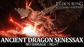 Ancient Dragon Senessax Boss Fight No Damage  NG+7 Elden Ring DLC