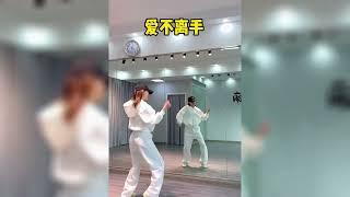 「愛不離手」抖音舞蹈精選 Ai bu li shou Dance Collections