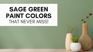 The Best Sage Green Paint Colors