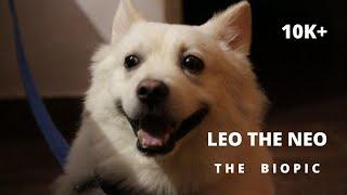 LEO THE NEO - THE DOG THAT LOVES YOU 