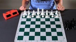 How to Set Up the Board  Chess