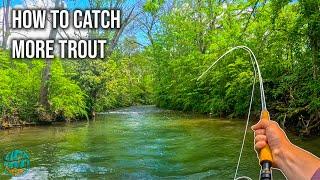 How to Catch More Trout Fly Fishing for Big Brown Trout