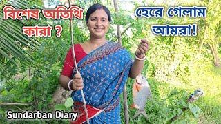 মাছ ধরতে গিয়ে কি অবস্থা হলো দেখুন বাড়িতে বিশেষ অতিথি Sundarban Diary