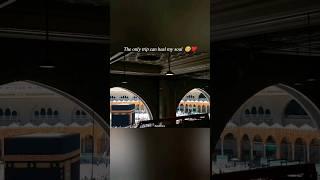 the only trip can heal  Tajdar-e-haram #shorts #shortvideo #makkah #youtubeshorts #viral #trending