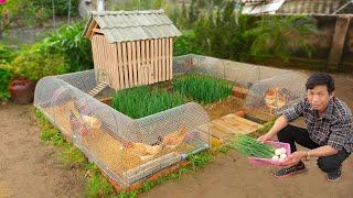 My wife likes chicken coop combined with growing organic vegetables  Mini budget ideas