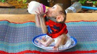 Most Stylish Action Pruno Sit Still As Human Babe Deeply Enjoy Milk Pruno Happy Wit Big Bottle Milk