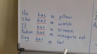 Lesson 10 have has had in rohingya English club