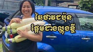 ឆៃថាវជប៉ុនផ្អែមជាងល្ហុងខ្ចី  Japanese radish is sweeter than green papaya