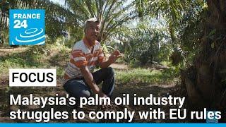 Malaysias palm oil industry struggles to comply with EU regulations • FRANCE 24 English