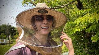 The MOST Amazing thing to Experience - Swarming Honey Bees In Action