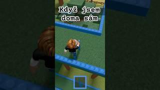 Když jsem doma sám