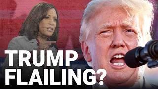 Distasteful and snarling Trump braces for refined and dignified Harris at presidential debate