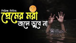 Premer Mora Jole Dobe Na lyrics video । sheikh lyrics gallery