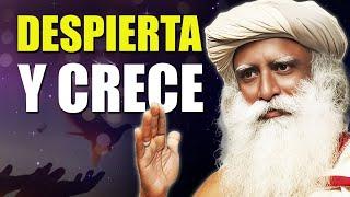 ¿Has perdido un empleo? Escucha esto  Sadhguru en Español