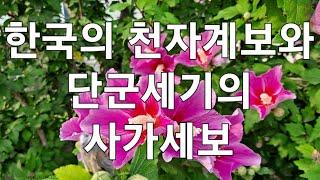 #한국천자계보와 단군세기의 사가세보 환국 배달국 조선