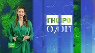 Прогноз погоды НТВ-Беларусь HD 23.02.2023