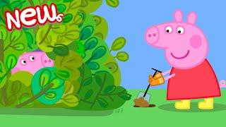 Peppa Pig Tales  The Garden Den  Peppa Pig Episodes