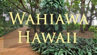 #garden #hawaii Best Gardens of Oahu Hawaii  I under-estimated the Wahiawa Botanic Garden