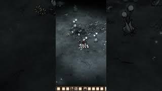 Можно ли БАГОЮЗИТЬ новый СПРЕЙ в Dont Starve Together  #dont_starve #dst #gaming #shorts #гайд #рек