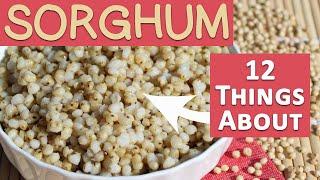 Sorghum 101 Try This Instead of Rice