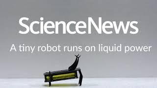 A tiny robot runs on liquid power  Science News