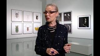Ольга Свиблова о том что такое искусство и как распознать шедевр