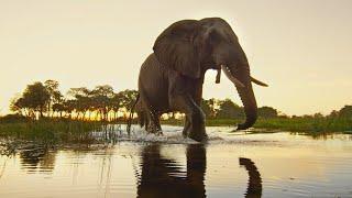 Protecting the Okavango Ecosystem  National Geographic